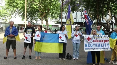 Protest at Red Cross Stock-Footage 222895044
