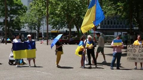 Protest at Red Cross Stock Footage 232444670