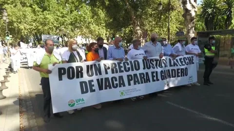 Protest in Seville asking for fair prices in the milk market, Seville, ES - 13 J Stock Footage 204046646