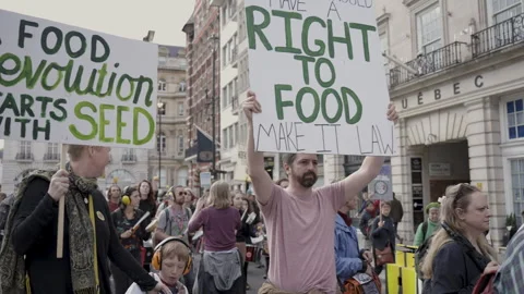 Protest Sign Everyone Should Have The Right to Food A Food 스톡 동영상 263815233