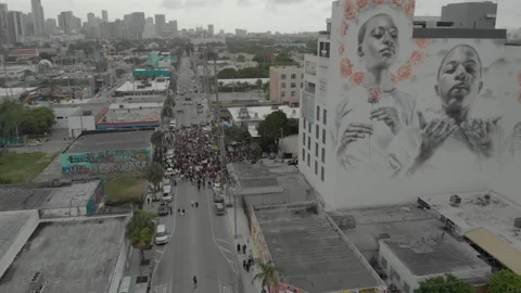 Protest12 Stock Footage 134284295