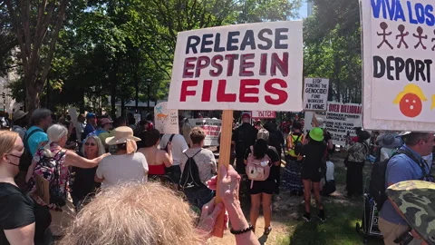Protester  holds sign calling for release of Epstein files Stock Footage 317512589