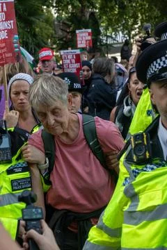 Protesters arrested in Parliament Square Foto stock