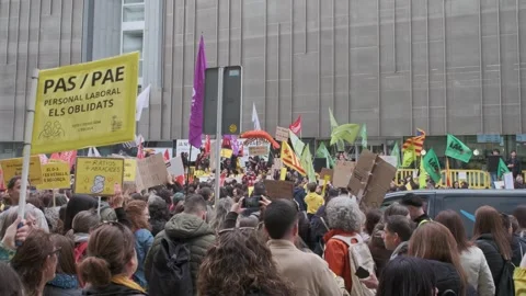 Protesters Clapping and Chanting at Education Rally Stock Footage 331100609