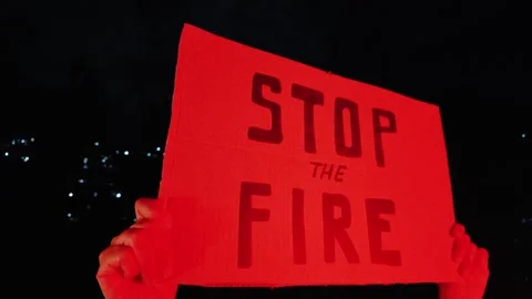 Protesters demand ceasefire, stop war amid humanitarian crisis - Activism Video stock 315619106