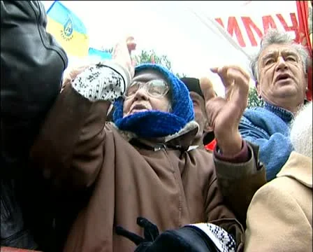Protesters grandmother Stock Footage 12135464