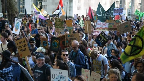 Protesters group of people Marching on Climate Change Stock-Footage 116431535