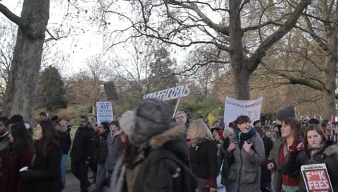 Protesters in Horseguards Parade Stock Footage 3933359