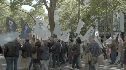 Protesters in Lisbon, Portugal Stock Footage 239781720