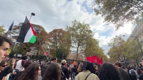 Protesters March With Palestinian Flag in Paris Stock Footage 347961653