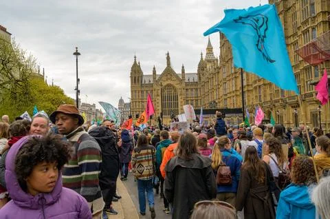 Protesters Marching to Parliament: XR Flags Stock Photos