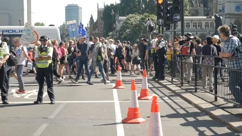 Protesters At Paliament Video stock 91626374