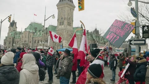 Protesters With Placards And Canadian Flags Support Truckers Freedom Stock Footage 172183478