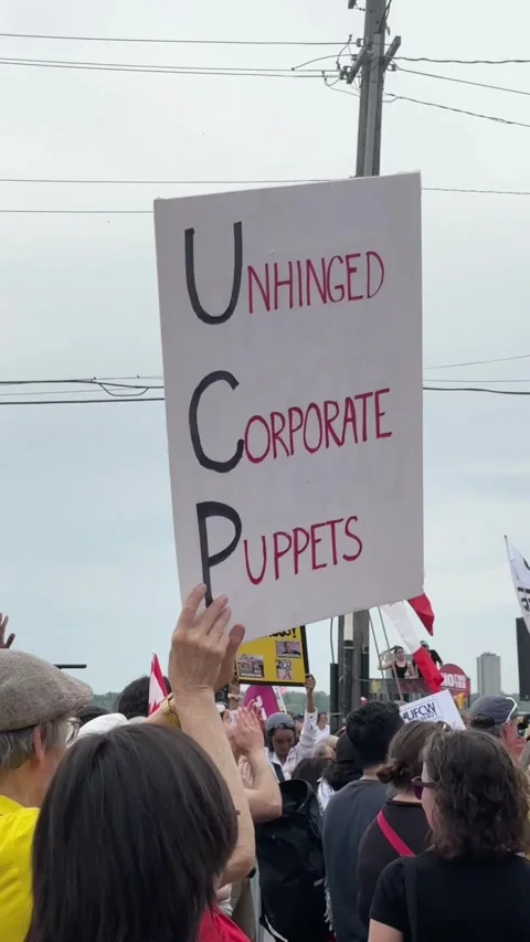 Protesters at a province-wide day of protest against the UCP Stock Footage 336105787