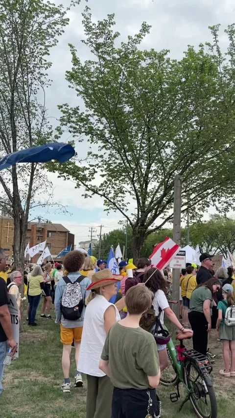 Protesters at a province-wide day of protest against the UCP Stock Footage 336105800