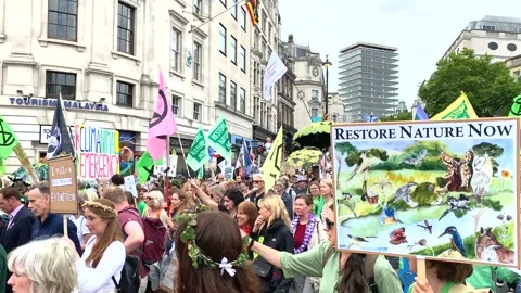 Protesters at the Restore Nature Now demonstration in London. Stock Footage 278085778