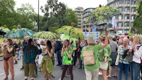 Protesters at the Restore Nature Now demonstration, London, UK. Stock Footage 287038854