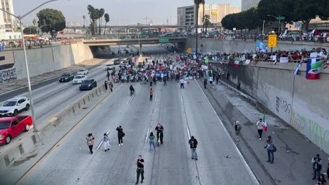 Protesters Shut Down the 101 Freeway in Downtown Los Angeles Stock Footage 300889907