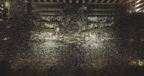 Protesters in Tbilisi to protest against the government's decision. protest Stock Footage 294430198