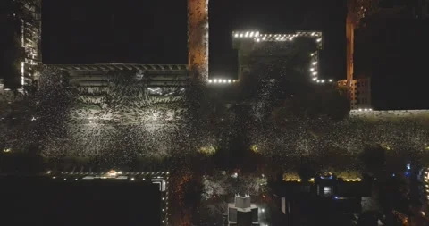 Protesters in Tbilisi to protest against the government's decision. protest Stock Footage 294430794