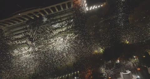 Protesters in Tbilisi to protest against the government's decision. protest Stock Footage 294431013