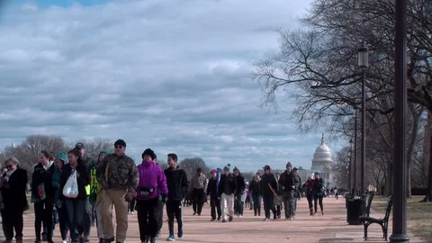 Protesters walk in front of U.S. Capitol Stock Footage 125868044