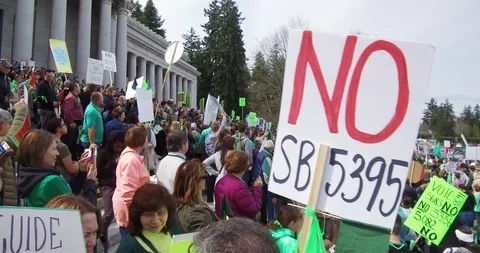 Protesting in the Capitol Stock Footage 106171070