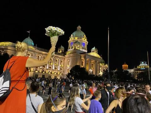 Protesting with Flowers Stock Photos