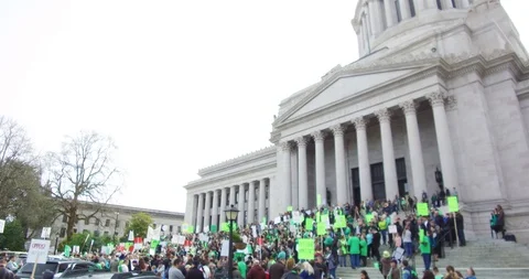 Protesting on the street. Bill of Rights Stock Footage 106172152