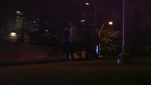 Protestor arrested Stock Footage 136127318