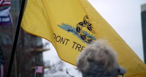 Protestors gather to demand the re-opening of the state during COVID-19 Stock-Footage 131315460