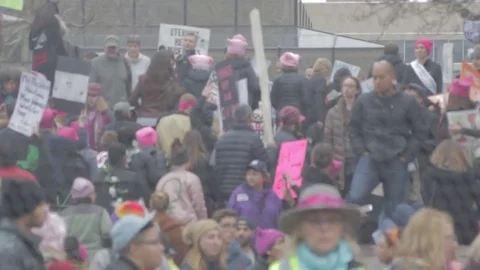 Protestors Through Fence Pull Focus - Womens March DC Stock Footage 81257562