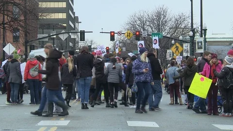 Protestors Timelapse Vídeos de archivo 102917022