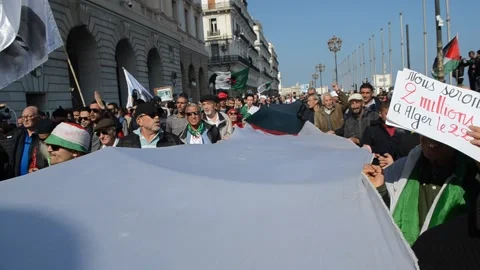 Protests in Algiers Stock Footage 130224886