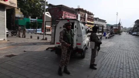Protests, celebrations mark anniversary of Jammu and Kashmir's Article 370 abrog Stock Footage 341484136