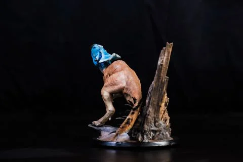 Protoceratops  , dinosaur on black background Stock Photos
