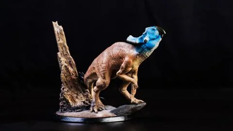 Protoceratops  , dinosaur on black background Stock Photos