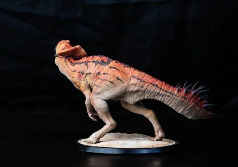 Protoceratops  , dinosaur on black background Stock Photos