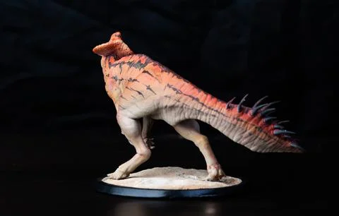 Protoceratops  , dinosaur on black background Stock Photos