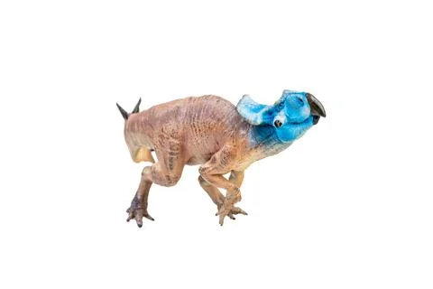 Protoceratops  , dinosaur on  isolated background Foto stock