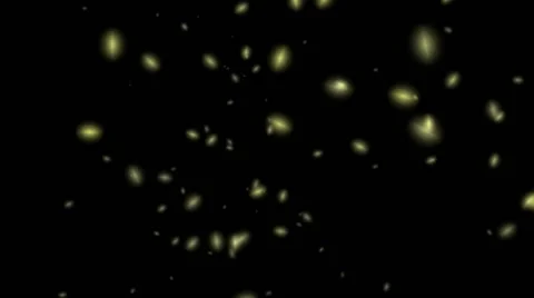 Protoplasm Shapes on Black Background: Loop + Matte Stock Footage 68791101