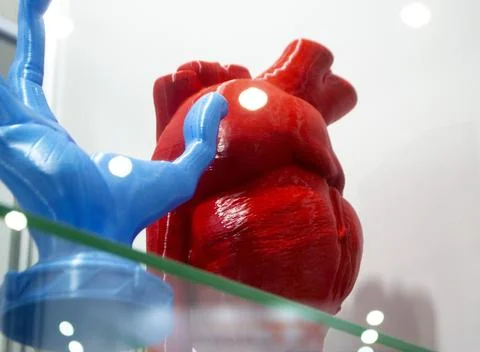 Prototype art object human heart 3D printed melted blue plastic. Model created Stock Photos