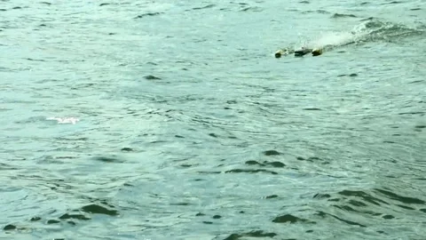 Prototype electric model boat reaching a speed of 100km / h, 62mile / h Stock Footage 134418905