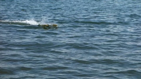 Prototype electric model boat reaching a speed of 100km / h, 62mile / h Stock Footage 136580498