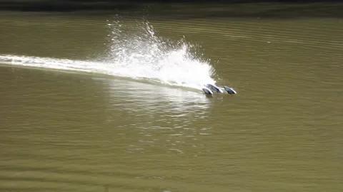 Prototype of an electric model of a ship reaching speeds 100 km per hour Stock Footage 188524332