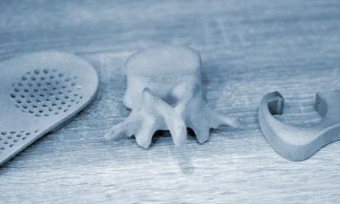 Prototype model of human vertebra 3D printed from polyamide powder Stock Photos