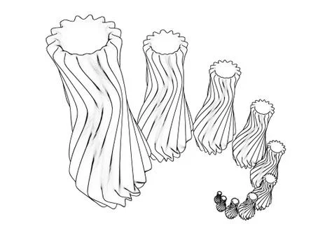 Prototype vase sketch set 3d illustration isolated Stock Illustration