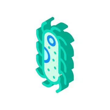 Protozoa malaria isometric icon vector isolated illustration Illustrazione stock