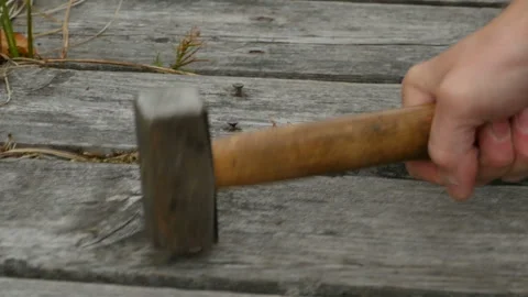 Protruding nails Stock Footage 116619354