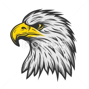 Proud eagle head. Color version. Stock Illustration